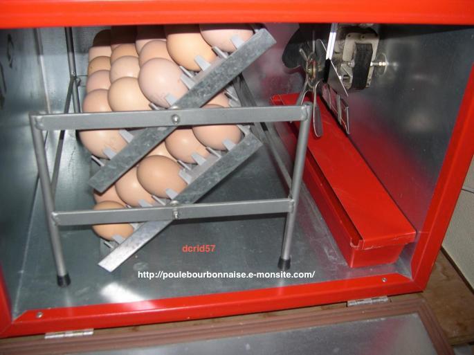 Oeufs de volailles bourbonnaises en incubation, retournement des plateaux semi automatique